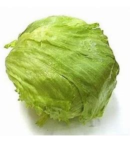 Iceberg Lettuce